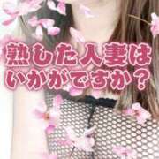 ヒメ日記 2026/04/02 10:52 投稿 りんね 熟女家 京橋店