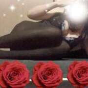 ヒメ日記 2026/04/11 12:56 投稿 りんね 熟女家 京橋店