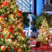 ヒメ日記 2025/12/22 19:53 投稿 さらさ 千葉人妻花壇