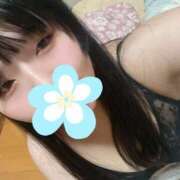 ヒメ日記 2025/11/19 18:22 投稿 りそら 川越ぽちゃまに