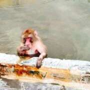 ヒメ日記 2026/02/07 10:02 投稿 かりん AZURE（アジュール）