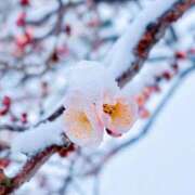 ヒメ日記 2026/02/18 17:22 投稿 かりん AZURE（アジュール）