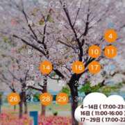 ヒメ日記 2026/03/25 12:22 投稿 かりん AZURE（アジュール）