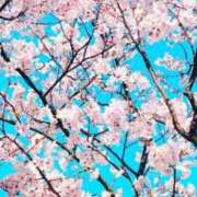 ヒメ日記 2026/03/28 17:02 投稿 かりん AZURE（アジュール）