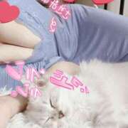 ヒメ日記 2025/11/28 17:30 投稿 クウ バニーコレクション新潟店