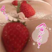 ヒメ日記 2025/12/01 10:00 投稿 クウ バニーコレクション新潟店