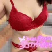 ヒメ日記 2025/11/29 17:03 投稿 堀北まひろ 西川口風俗ド淫乱ンド