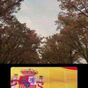 ヒメ日記 2025/11/17 22:30 投稿 馬乃りりい 渋谷エオス