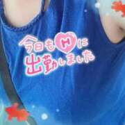 ヒメ日記 2026/04/28 16:58 投稿 しの 熟女の風俗アウトレット　大高・大府店
