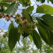 ヒメ日記 2026/02/10 16:16 投稿 ゆのん 熟女の風俗アウトレット　大高・大府店