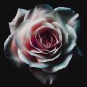 ヒメ日記 2026/02/10 19:26 投稿 ゆん 熟女の風俗アウトレット　大高・大府店