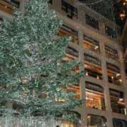 ヒメ日記 2025/12/09 12:33 投稿 黎生（れい） 痴女CLUB アンダーカバー