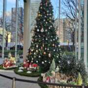 ヒメ日記 2025/12/11 13:52 投稿 みさと 出会い系人妻ネットワーク さいたま～大宮編