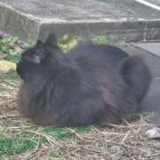 ヒメ日記 2026/01/11 12:42 投稿 みさと 出会い系人妻ネットワーク さいたま～大宮編