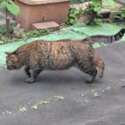 ヒメ日記 2026/04/29 13:52 投稿 みさと 出会い系人妻ネットワーク さいたま～大宮編