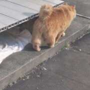 ヒメ日記 2025/12/22 13:24 投稿 みさと 出会い系人妻ネットワーク 春日部〜岩槻編