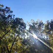 ヒメ日記 2025/11/10 09:15 投稿 かのん 池袋おかあさん