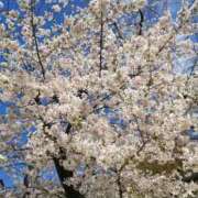 ヒメ日記 2026/03/18 15:24 投稿 かのん 池袋おかあさん