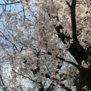 ヒメ日記 2026/03/28 18:18 投稿 かのん 池袋おかあさん