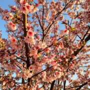 ヒメ日記 2026/03/30 23:14 投稿 かのん 池袋おかあさん