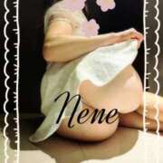 ヒメ日記 2026/04/08 08:06 投稿 立花　ねね アムアージュ