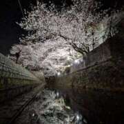 ヒメ日記 2026/04/08 18:42 投稿 立花　ねね アムアージュ