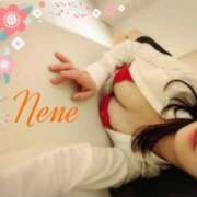 ヒメ日記 2026/04/14 08:06 投稿 立花　ねね アムアージュ