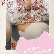 ヒメ日記 2025/11/28 09:56 投稿 尾崎あみ 華女 第二章