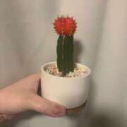 ヒメ日記 2026/03/24 06:30 投稿 千反田 BBW錦糸町店