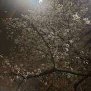 ヒメ日記 2026/04/02 12:32 投稿 千反田 BBW錦糸町店