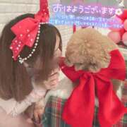 ヒメ日記 2025/12/20 10:35 投稿 ろあ★人妻KISS★ 人妻kiss