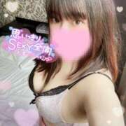 ヒメ日記 2026/02/20 15:31 投稿 るい ぽちゃ巨乳専門　新大久保・新宿歌舞伎町ちゃんこ