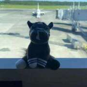 ヒメ日記 2025/10/23 03:06 投稿 美神 熟女の風俗最終章　鶯谷店