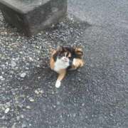 ヒメ日記 2026/02/04 18:49 投稿 美神 熟女の風俗最終章　鶯谷店