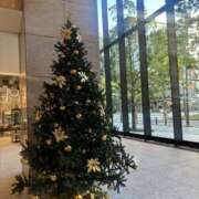 ヒメ日記 2025/11/23 19:30 投稿 なぎさ スピードエコ天王寺店