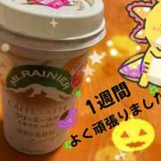 ヒメ日記 2025/10/31 19:39 投稿 ともか 千葉松戸ちゃんこ