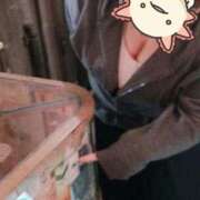 ヒメ日記 2025/11/02 22:16 投稿 ともか 千葉松戸ちゃんこ