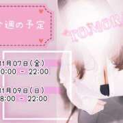 ヒメ日記 2025/11/05 06:10 投稿 ともか 千葉松戸ちゃんこ