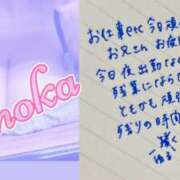 ヒメ日記 2025/11/07 14:35 投稿 ともか 千葉松戸ちゃんこ