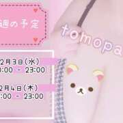 ともか 今週の予定 千葉松戸ちゃんこ