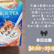 ともか 今週もよくがんばりました 千葉松戸ちゃんこ