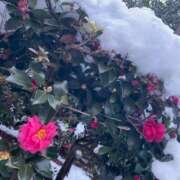 ヒメ日記 2026/02/09 21:45 投稿 園花/そのか ANEJE～アネージュ池袋～(ユメオト)