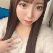 ヒメ日記 2025/11/11 23:30 投稿 りほ JAPAN CLUB BUNNY LOUNGE