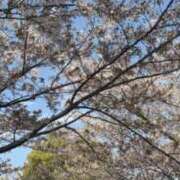 ヒメ日記 2026/04/17 09:02 投稿 りこ ぷるるん小町 京橋店