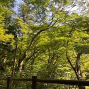 ヒメ日記 2026/04/21 13:44 投稿 りこ ぷるるん小町 京橋店