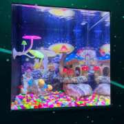 ヒメ日記 2026/06/14 00:20 投稿 りこ ぷるるん小町 京橋店