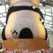 ヒメ日記 2025/11/21 08:14 投稿 しのぶ 豊満熟女