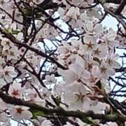 しのぶ しのぶです 豊満熟女