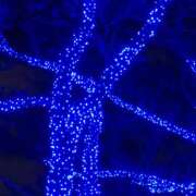 しのぶ しのぶです 豊満熟女