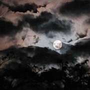 ヒメ日記 2026/02/11 08:52 投稿 しのぶ 豊満熟女